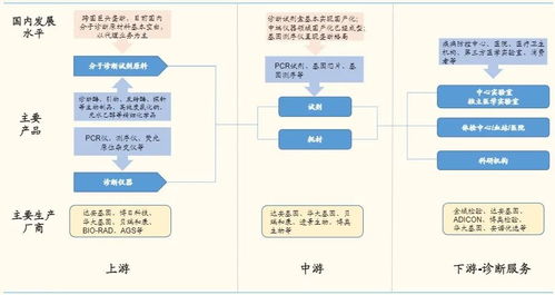 体外诊断3.0时代 分子诊断百花齐放，基础软件是决胜先机