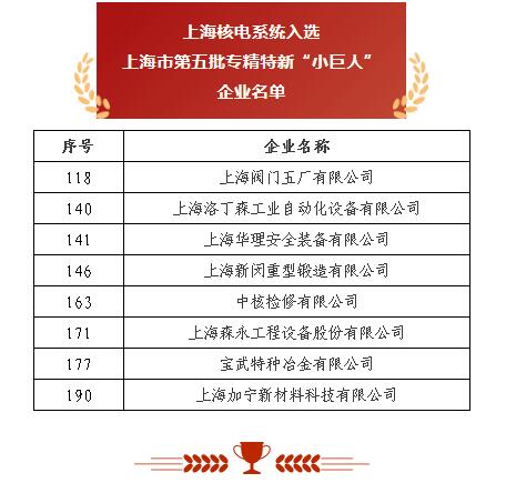 上海阀门五厂 以突破性阀门基础软件跻身“小巨人”，砥砺前行无畏创新华章